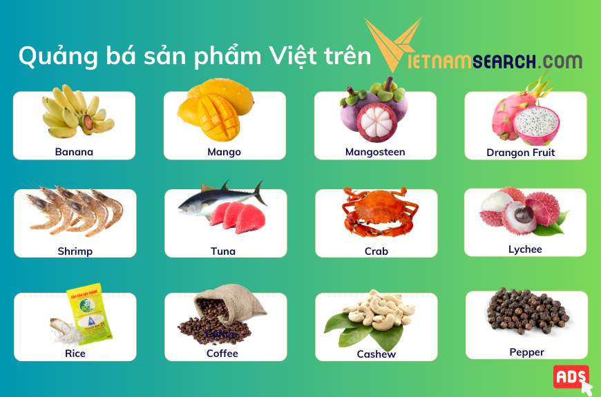 Vietnamsearch